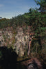 A view of a forest with a cliff in the background